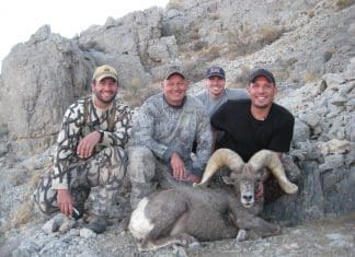 Bighorn Sheep Hunting Tips & Tactics robert sheep 1